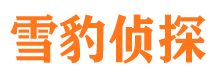 公安找人公司